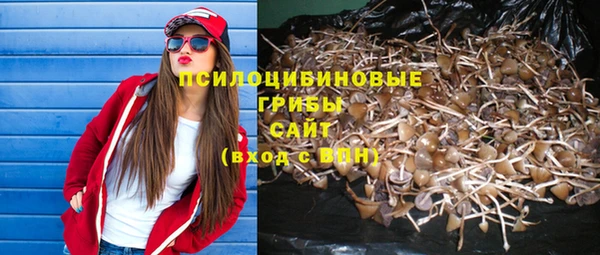 ECSTASY Михайловск
