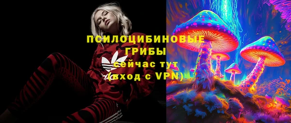 ECSTASY Михайловск